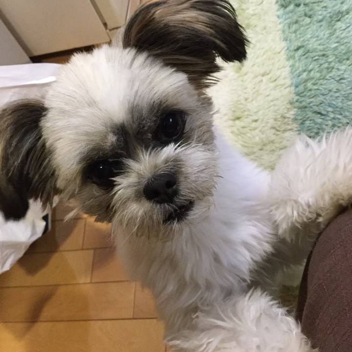 1edbdb48 4cd1 4874 8351 6c43d11475f1