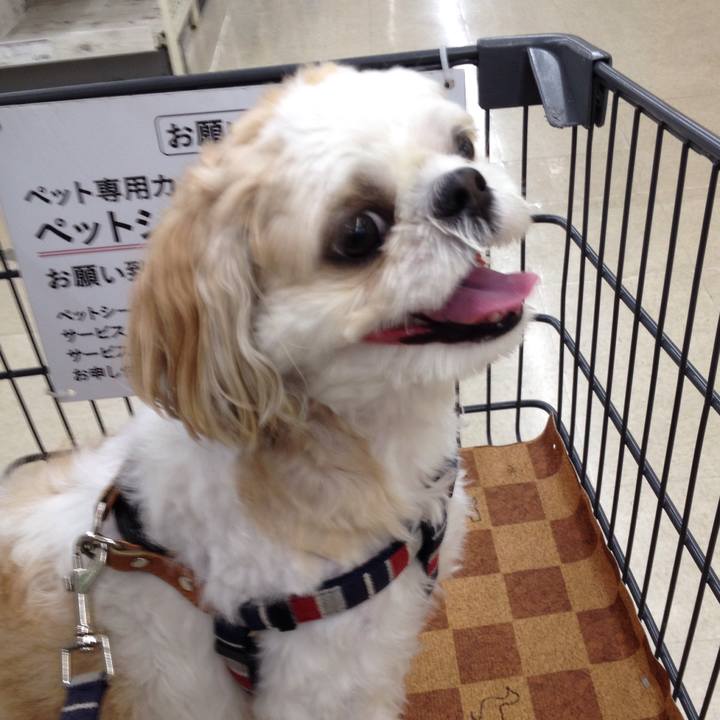 1edc8e42 f2c0 4921 bee6 7c201b1bd200