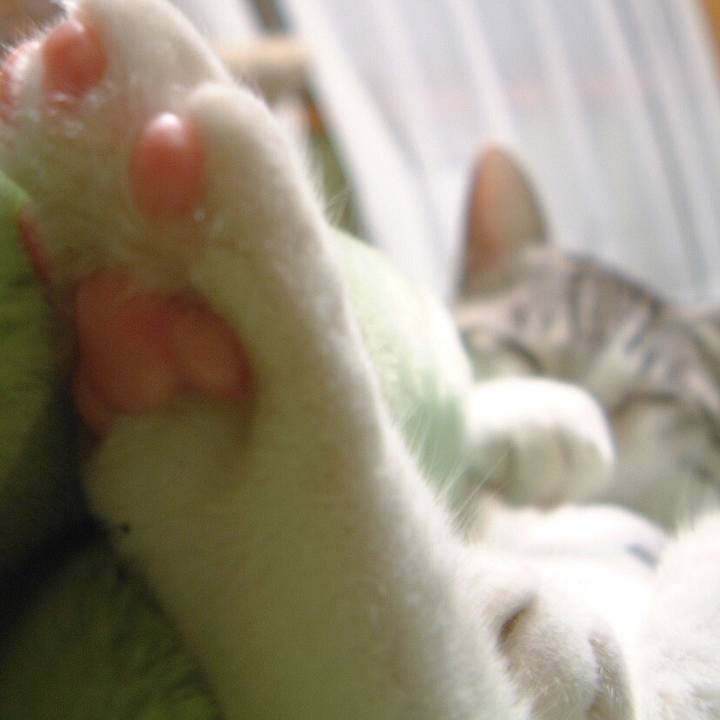 1edc9455 7629 4fea 92b6 1f568695da33