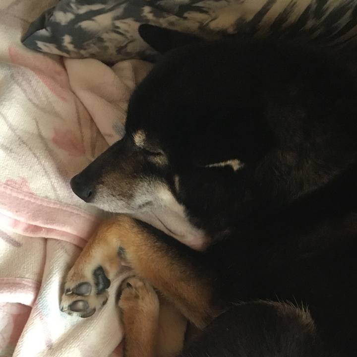 1edc96db 9f9e 4bcd b4cf df9a1629748d