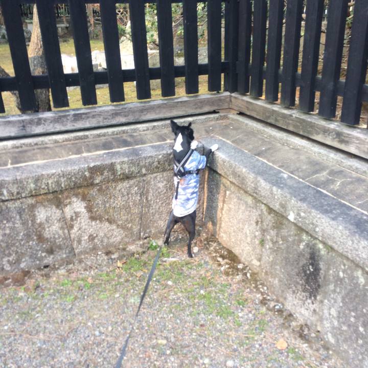 1edd1f2b b3e8 4cf4 8190 9473bfbcb948