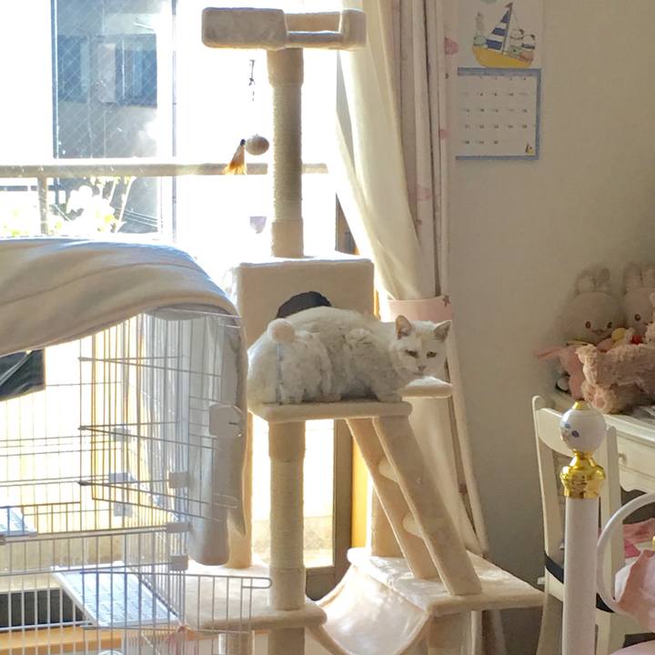 1edd3b07 06ce 40d5 b43a 88af1dc26145