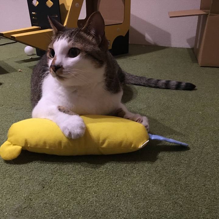 1edd5c9b f9b1 4bdf 8cf5 e24abc5b3b67