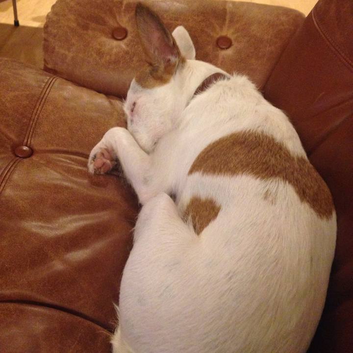 1ede3136 cee3 44c5 a3b9 0822e00972c0