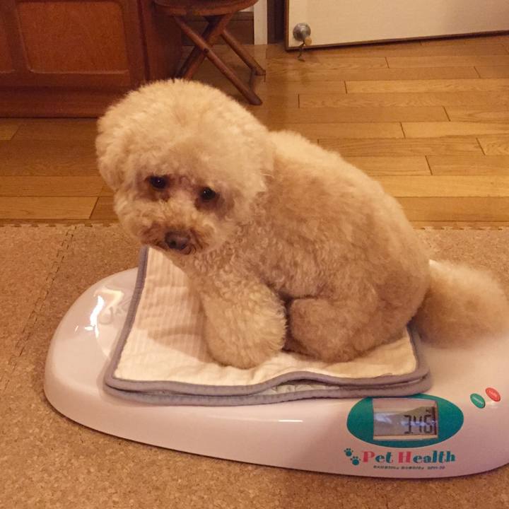 1ede4d1e db52 461f 8613 02e2eb275180