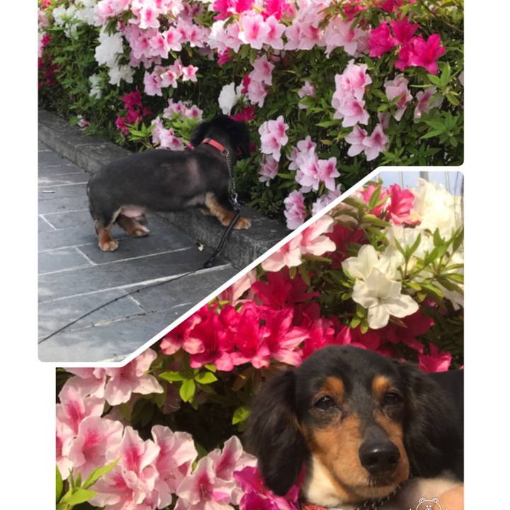 1ede7270 debd 4675 84be 3e2435f971d3