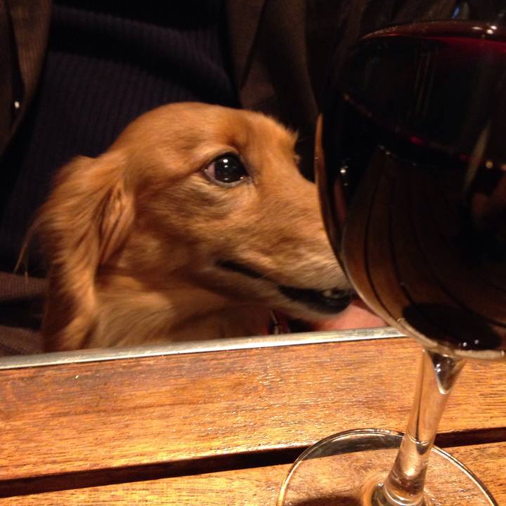 1edf47a8 1660 4c54 bfc0 9fde11afcbc0