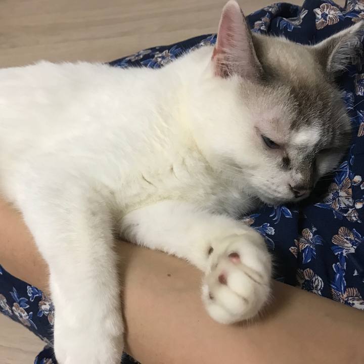 1edfcf9b 836e 4094 bf34 cf0c007e3717