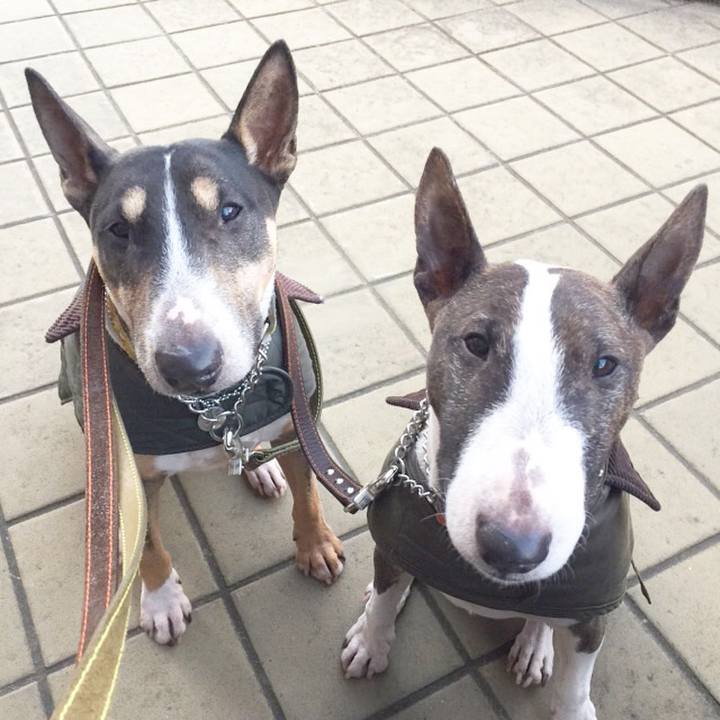 1edfd603 6a98 428c 8f30 d8abb7ba9415