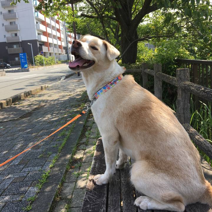 1ee12e28 8a6b 4f9e 859b 64651c41fcc3