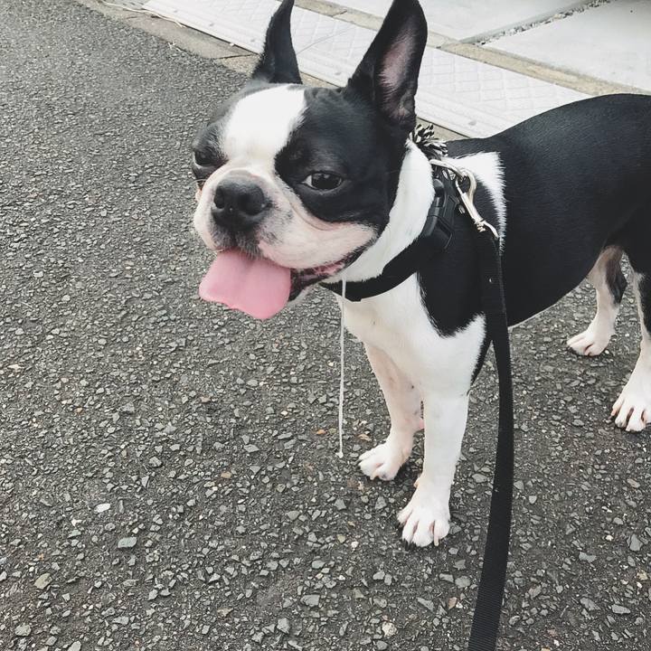 1ee17db3 d585 4725 8e0a a6aa75626c4f