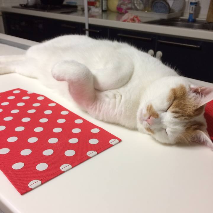 1ee17dcf 3522 4e5a 8367 4fd81845c0bb