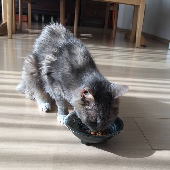 1ee1acce 7b90 4f19 b12e 831e66b1645b