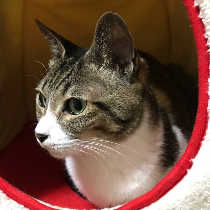 1ee2024f 9948 4f3c ad6b 3ef83294b80c