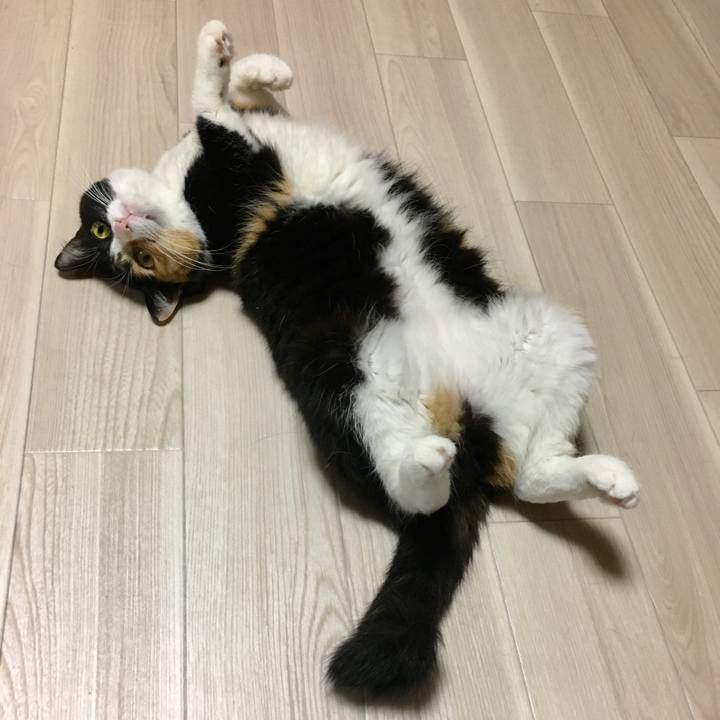 1ee23e48 f06a 4fc3 ae16 ff277479472f