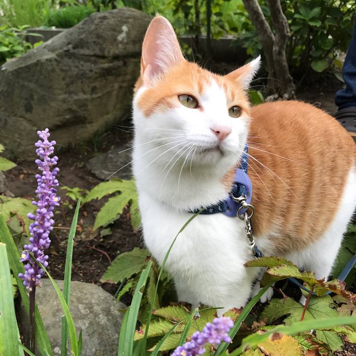 1ee273bc d331 4a5c 82f5 7d2838982e3a