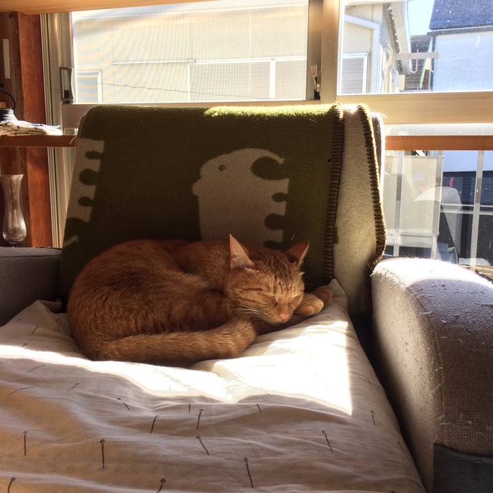 1ee373fb d5e9 4e64 8d69 bd1a8473e5bd