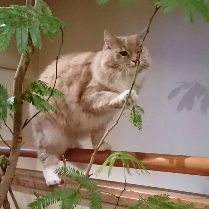 1ee38644 e693 4d70 b3bc a2854f206b97