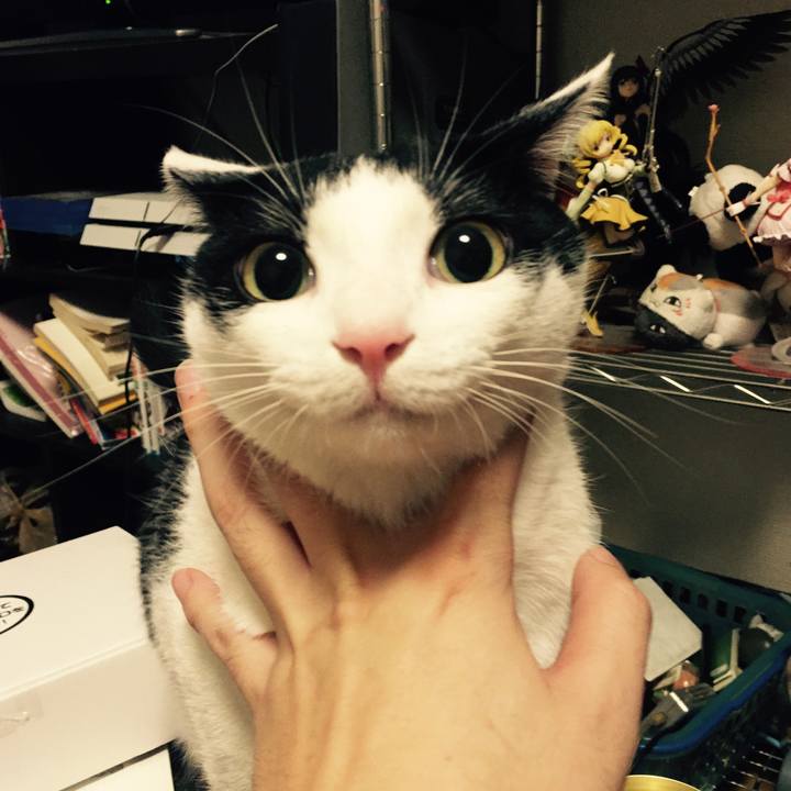 1ee3f468 4f8f 4974 9515 ae303cbfb88b