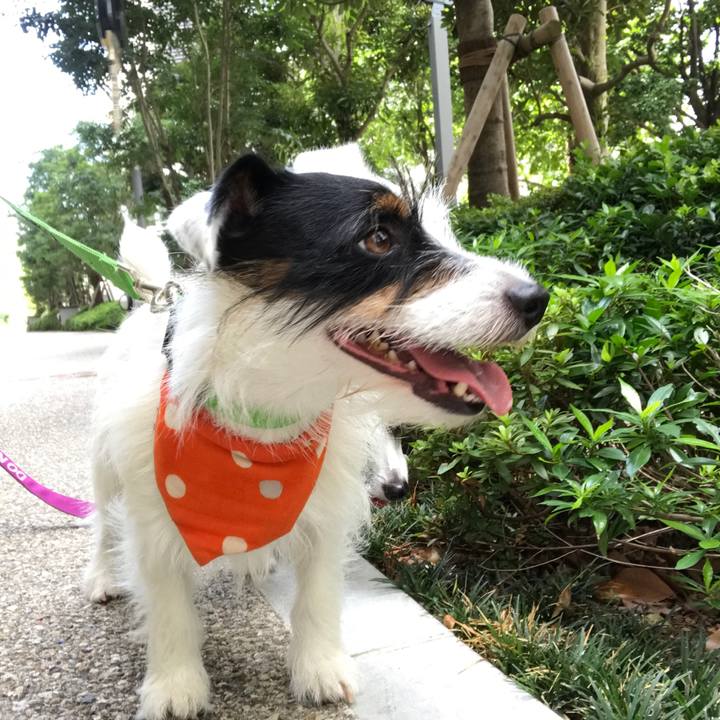 1ee4007e d879 435c 99ff 0cf1e2a040d1