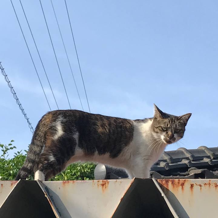 1ee42702 fc7f 4085 a506 9438b4c09c5b