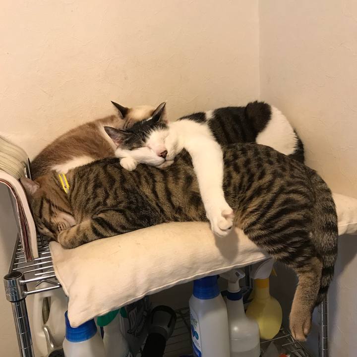 1ee42d5c 8dc6 48e9 a116 be88725ad25c