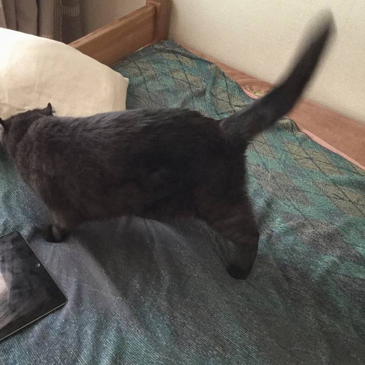 1ee471c7 1e08 4f35 9a65 713838c9a45a