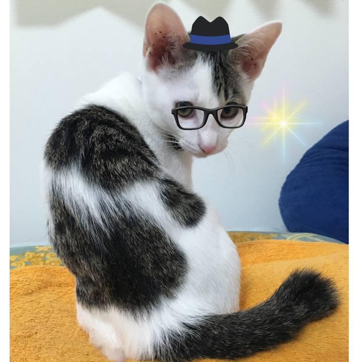 1ee4f2e9 1fe1 4a86 8227 c55c3dc5bd7b