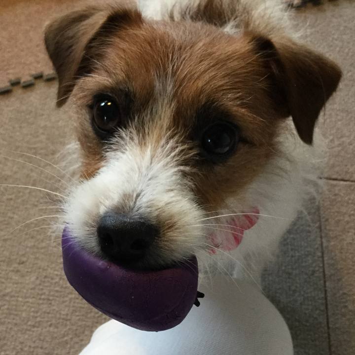 1ee5d8b3 3478 464a a728 363cedc94e66