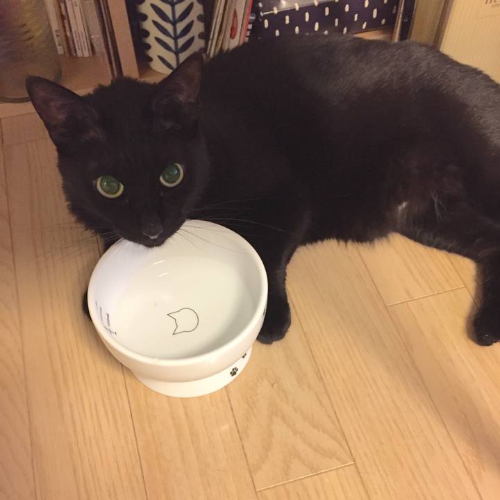 1ee5f8fc 4a78 40ed b127 74a650796972