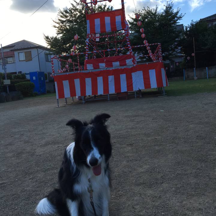 1ee6e229 1173 4a4d 8fe0 b71c96cfe26e