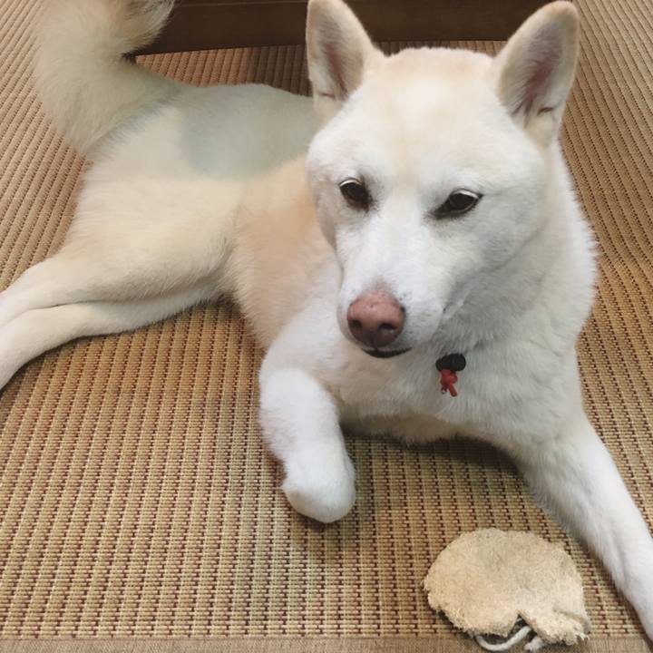 1ee71101 f303 481c bdf5 88bc4bbb1590