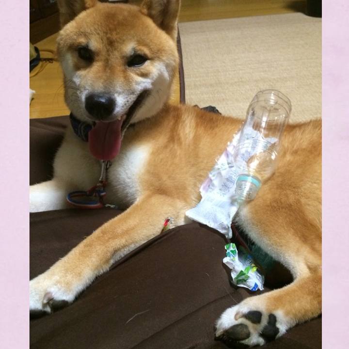 1ee81299 f152 4862 b047 b934cfed15b9