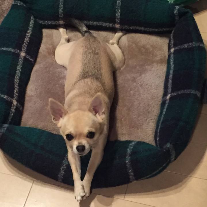 1ee98a1a d259 4a7f 9108 ebbc3b325df7