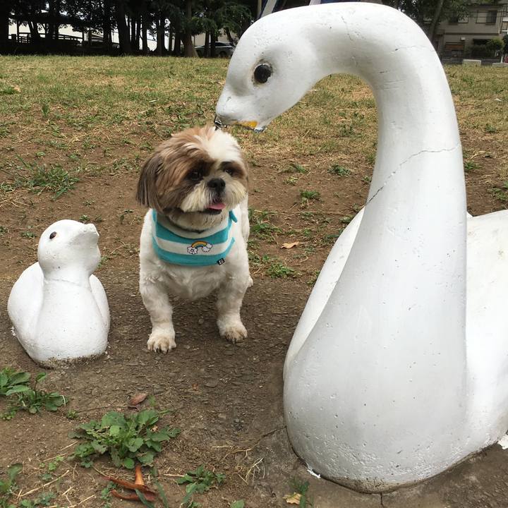 1eea8fb4 ced7 4956 8203 93df717408e5