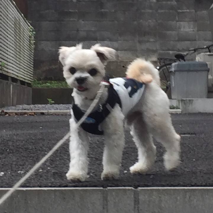 1eeae475 d977 4f20 b667 ff5183dac637