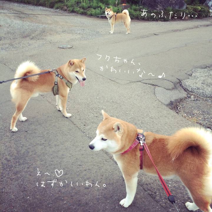 1eeaeab5 392b 4c6b 8e2f b66ade6606d6