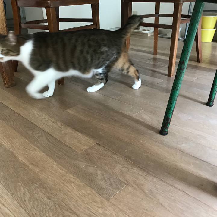 1eeb1288 15d2 4b9a 82a8 3c01a2b0c841