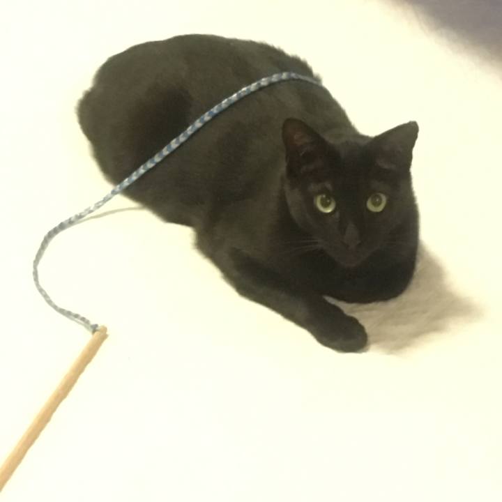 1eeb591b ed4f 4963 808e 86673dd80ece