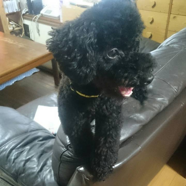 1eebdaa4 152e 46c2 bd8c edbb71e2b06c