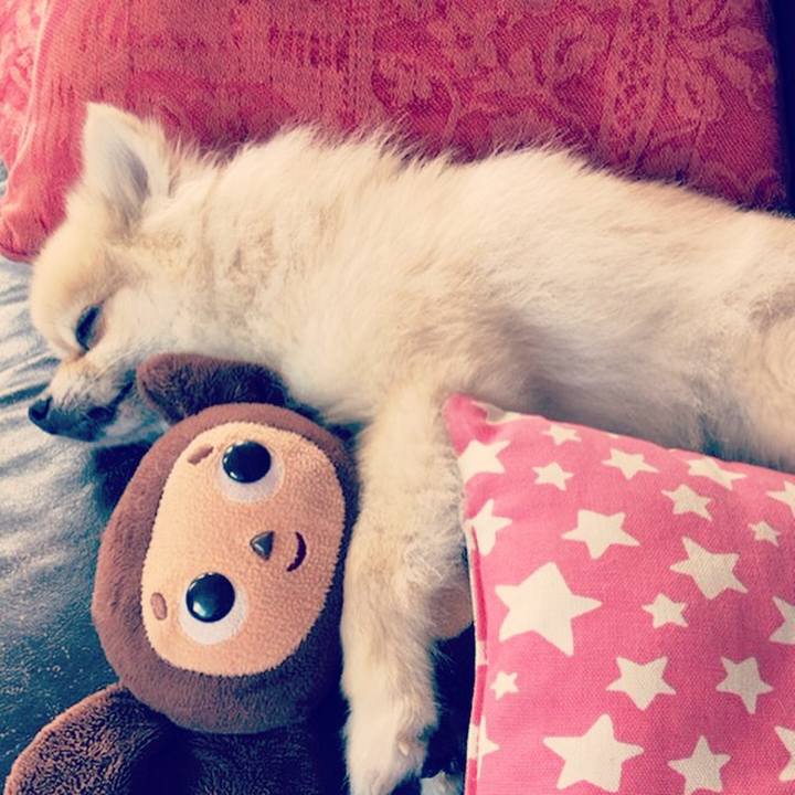 1eec46c6 7885 4a0e b5a0 f481dda5ce1a