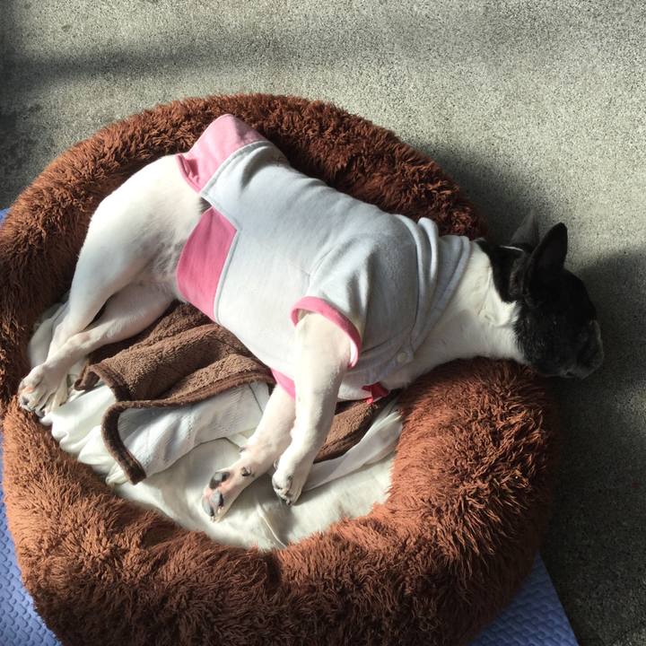 1eecfa64 17d5 4ca4 855c dbac625b7e9e