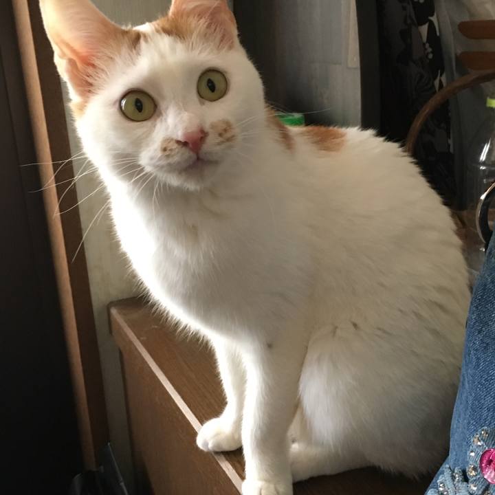 1eed57ea 30fe 4125 bbb1 7a523420e961