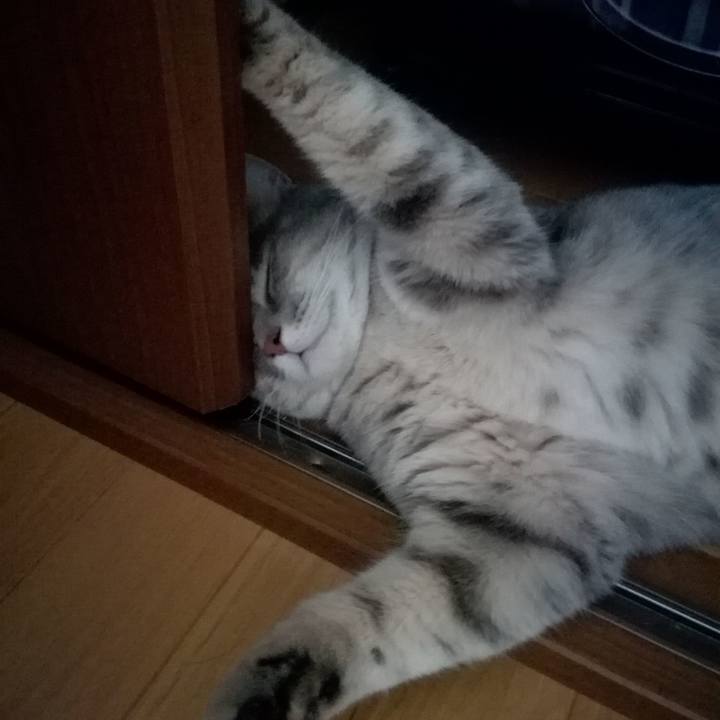 1eedcf29 cc46 48cc 931e bde90b91dfee