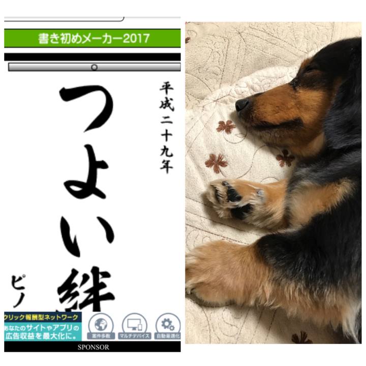 1eee5794 ae24 46e8 b02e cfcd2583f907