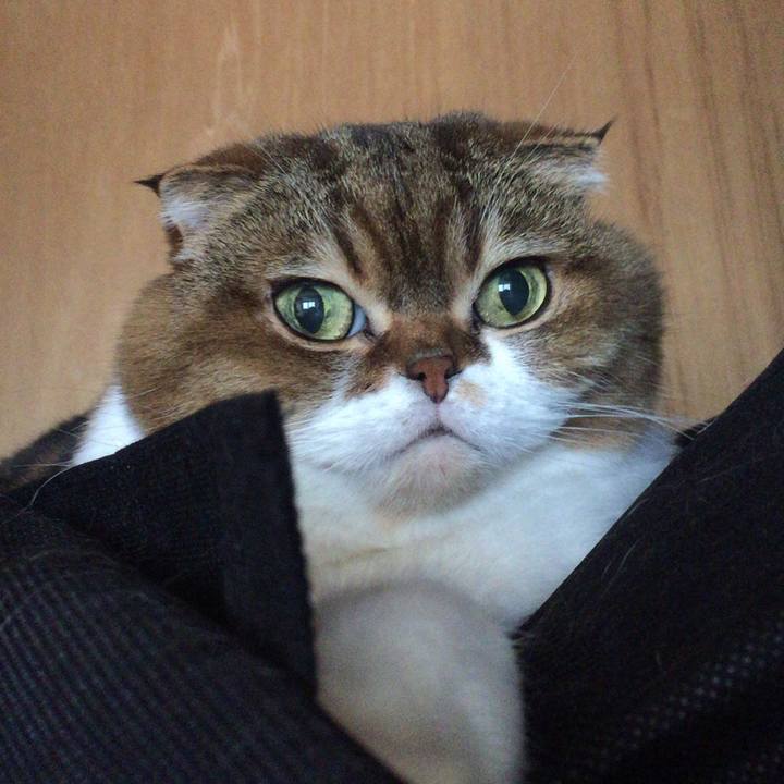 1eee6819 fdf3 4e94 ae2f 1e7353b9b20a