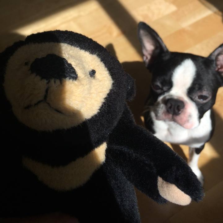 1eeeaf33 cdc8 46d4 ac66 37e6c596fa71