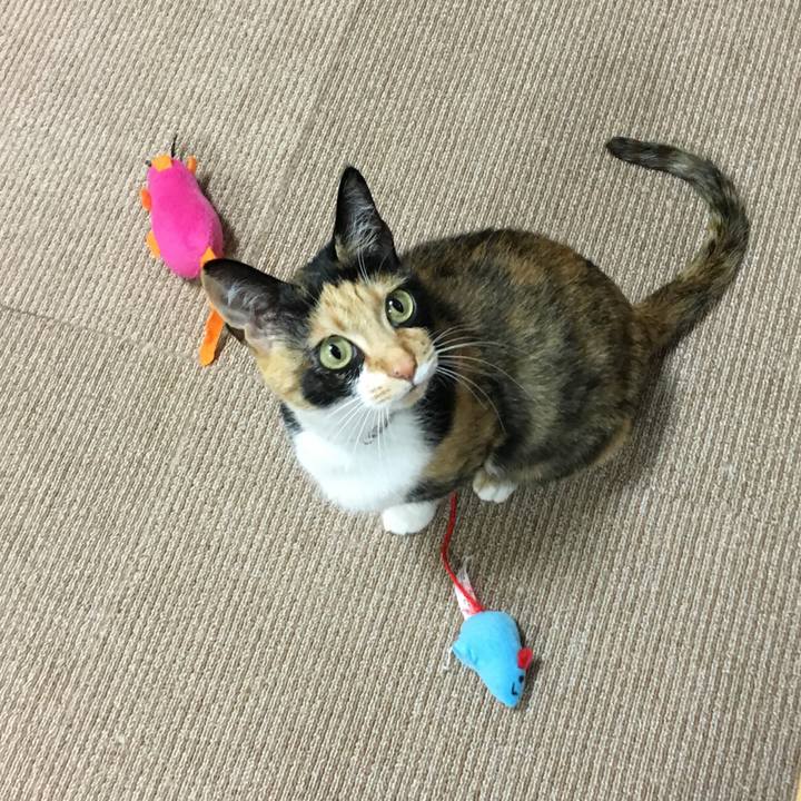 1eeeb3e1 ad3d 4302 b450 7a9e8ae97443