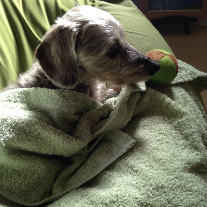 1eef03c4 dcd3 4929 9490 9c9bae52ae23