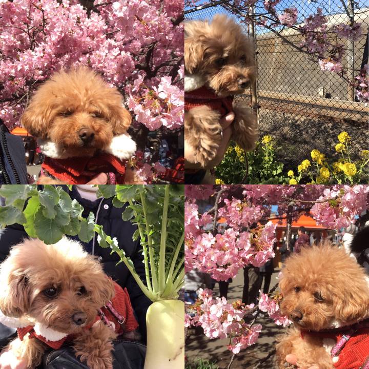 1eef2354 9c3a 4f7f bc04 31de6ea24e68